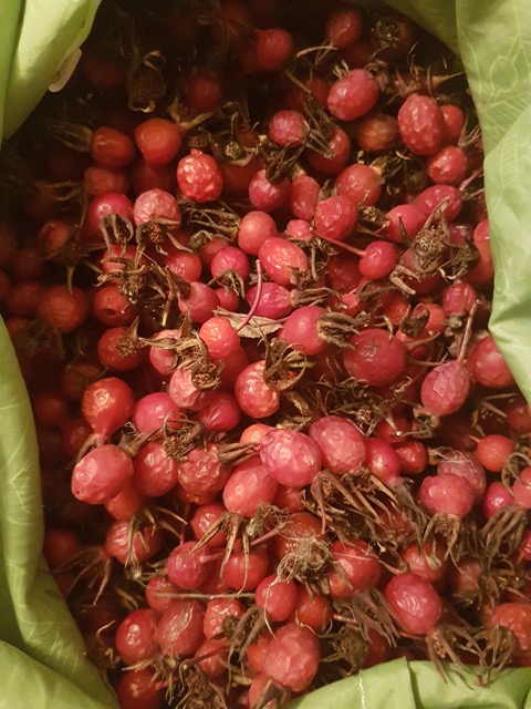 Wild Rosehips