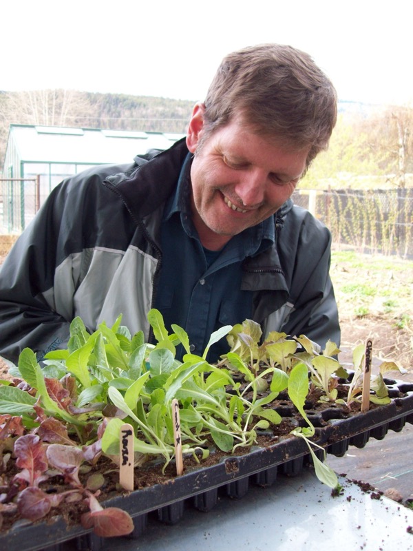 Lettuce_Seedlings.JPG