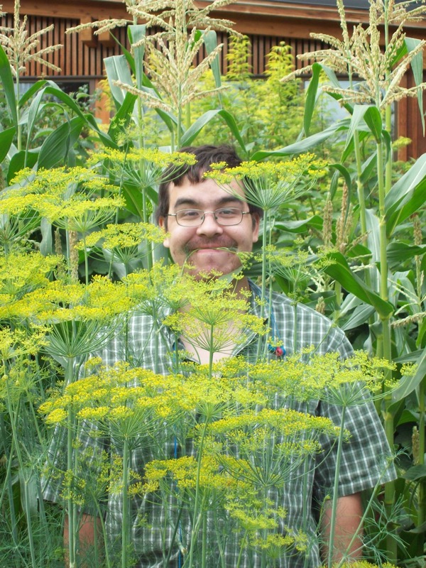 Dill.JPG