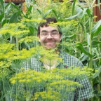 Dill.JPG