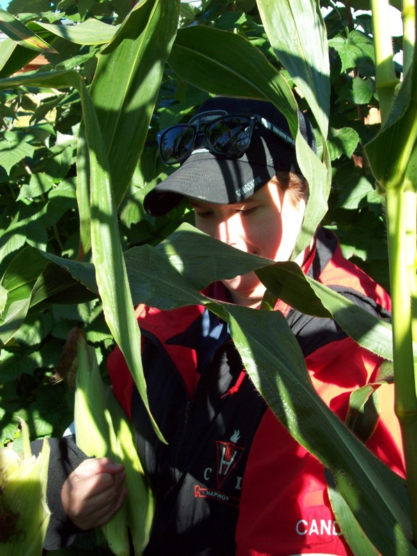 Hiding_in_Corn.JPG