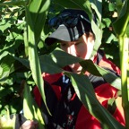 Hiding_in_Corn.JPG