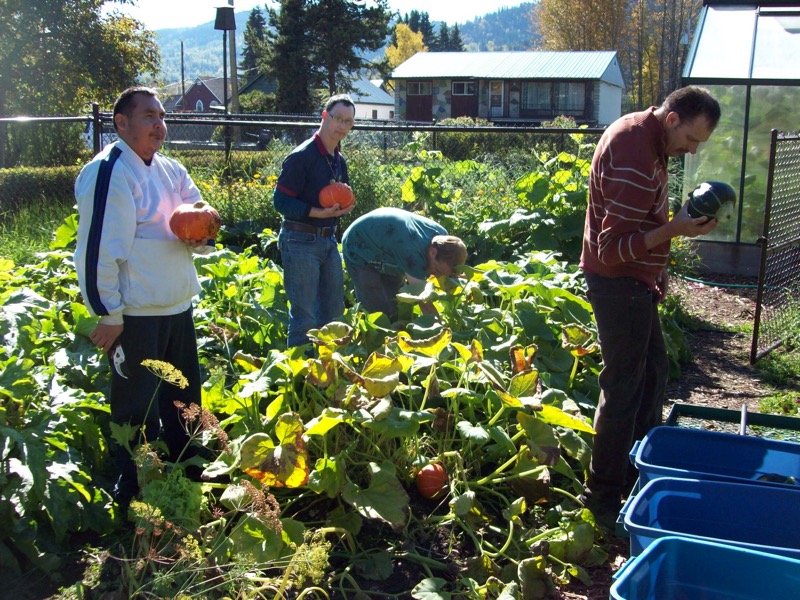 Squash_Harvest.JPG