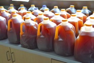 Cider_Jugs