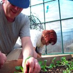 Transplanting_Pak_Choi.JPG