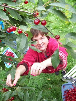 Cherry Glean